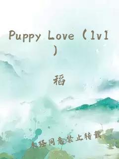 Puppy Love（1v1）